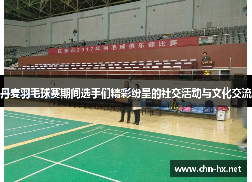 丹麦羽毛球赛期间选手们精彩纷呈的社交活动与文化交流