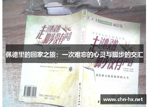 佩德里的回家之旅：一次难忘的心灵与脚步的交汇