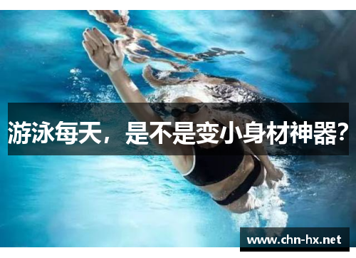 游泳每天，是不是变小身材神器？
